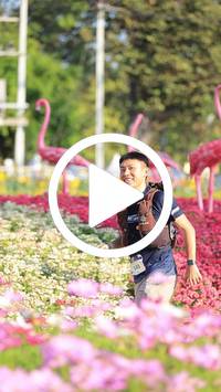 BIB:  <button type="button" onclick="openModal(27583593)" class="btn btn-primary btn-sm float-right" data-toggle="modal" data-target=".modal-high-quality">
                <i class="fa fa-download"></i> Download
                </button>